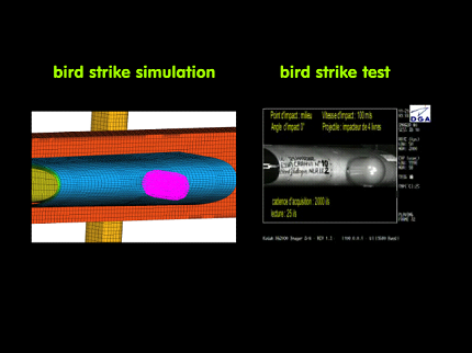Bird strike simulation